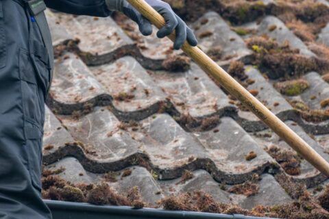 Halesowen Roof Moss Removal Experts