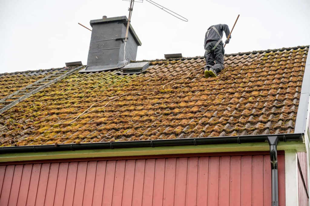 Halesowen roof moss removal